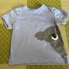 コアラ　90