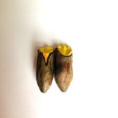 ミニチュアコレクションセットの画像