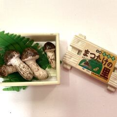 ミニチュアコレクションセットの画像