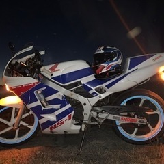 NS-1 極上車