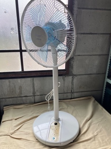 EUPA扇風機