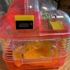 ハムスター🐹のおうち　砂とふかふかソフトマット付き　500円