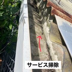 台風後の伐採や片付け - 糸満市