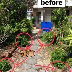 台風後の伐採や片付け - 剪定/造園