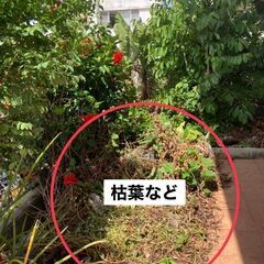 台風後の伐採や片付け - 地元のお店