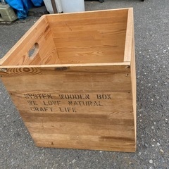  ダンデライオン　フレームBOX  木箱 40×40×40 正方形