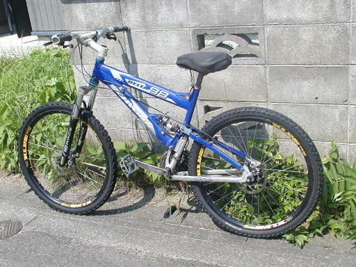 遠方に引越すため処分します。マウンテンバイク。