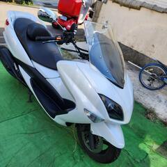 売約済み　ヤマハ　マジェスティ250後期型　メチャクチャ綺麗　走...