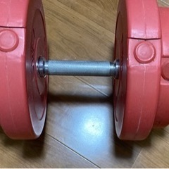 【8/17までの引き渡し】ダンベル 20kg 1個セット