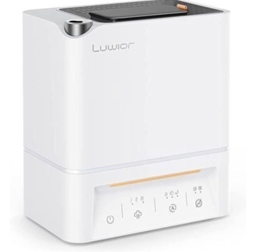 大幅値下げ‼️卓上除菌加湿器 第二代Luwior 電解水除菌 アロマ対応 ホワイト
