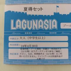 ラグーナ　プール大人チケットの画像