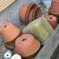 ②家中の鉢植え、植物持って行ってほしいですの画像