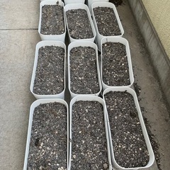 園芸用の土、石、プランターの画像