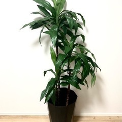 インテリア 観葉植物 フェイクグリーン 140cmの画像