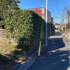 庭の手入れ致します！