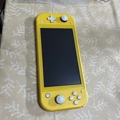任天堂スイッチライト(値下げ不可)