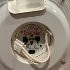 急募　8/2取りに来て下さる方優先！の画像