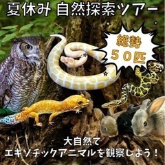 【8/13（日）夏休み子供イベントin洞爺湖】