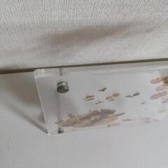 フォトフレームの画像