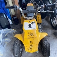 ポケバイ バギー 原付 50cc の画像