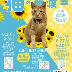 『とらちゃん本舗保護猫譲渡会』さいたま市岩槻