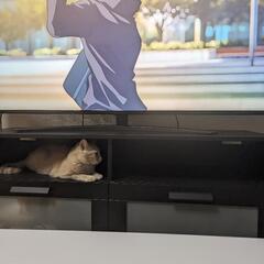 休日のリフレッシュ仲間を募集中。 - チャット