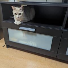 休日のリフレッシュ仲間を募集中。 - 世田谷区