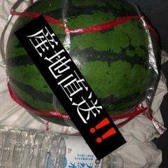 🍉デカいけど配達までするんでご安心ください🙏🏿