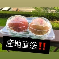 めちゃ甘い桃🍑