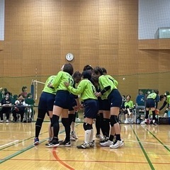 私たちと一緒にバレーをしませんか？ - スポーツ