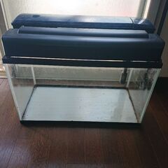 60cm水槽セット