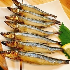 🏝️種子島で住み込みの整備士さん募集してます‼️の画像