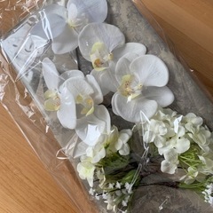 胡蝶蘭と小花/ヘア/熱田神宮提携店の画像