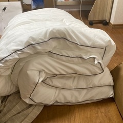 西川　掛け布団　210x210cmの画像