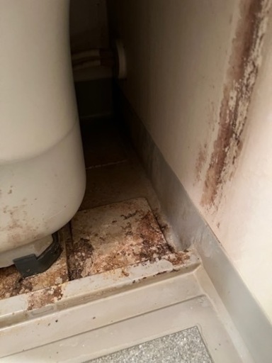 24時間対応　浴室洗浄(エプロン内洗浄込み)