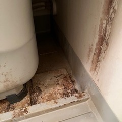 24時間対応　浴室洗浄(エプロン内洗浄込み)