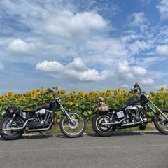 いよいよ夏風を探しに🛵…🏍…🏇…