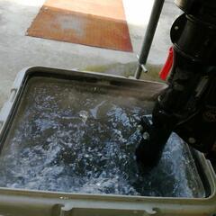 値下げ！2馬力船外機　スズキ　DF2　の画像