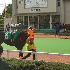 金沢競馬いっしょに行きませんか?
