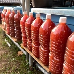 PSB光合成細菌500ml 300円　1.5L 700円の画像