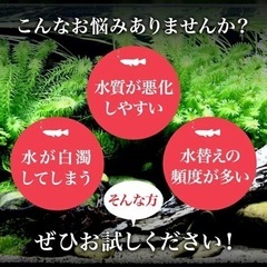 PSB光合成細菌500ml 300円　1.5L 700円の画像