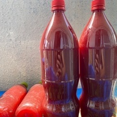 PSB光合成細菌500ml 300円　1.5L 700円の画像