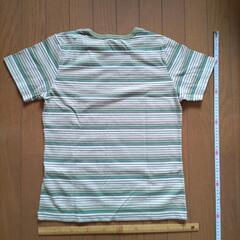 新品ＬサイズＴシャツ3枚セット　花柄ワンピース付の画像