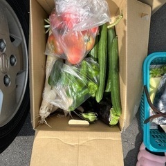 野菜まとめて。
