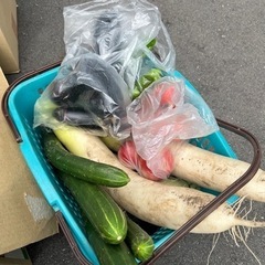 野菜まとめて^_^