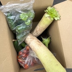 野菜まとめて、、