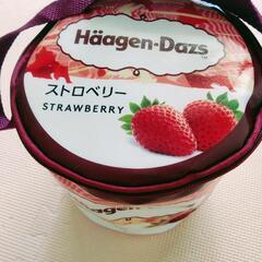 〈決まりました〉保冷バッグ、保冷剤