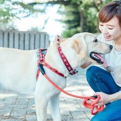 ＼家事の経験があれば未経験でも大活躍！／年齢・学歴不問◎家事スタッフ募集の画像