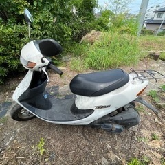 ライブDIO AF34の画像