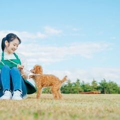 プライベート優先で働ける家事代行＼育児や家事との両立！週1日からOK☆／の画像